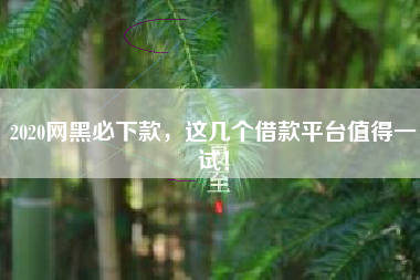 2020网黑必下款，这几个借款平台值得一试！