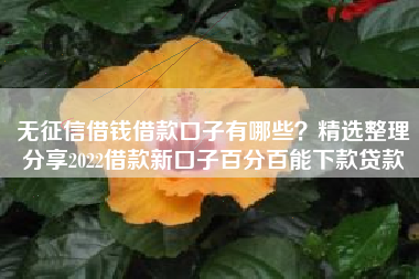 无征信借钱借款口子有哪些？精选整理分享2022借款新口子百分百能下款贷款