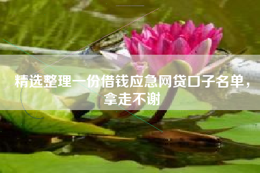 精选整理一份借钱应急网贷口子名单，拿走不谢