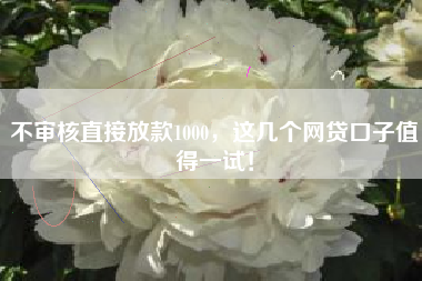 不审核直接放款1000，这几个网贷口子值得一试！