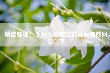 精选整理！千万不能错过的直接借钱网贷口子