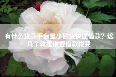 有什么贷款平台是小额贷快速借款？这几个就是谁要借款找我