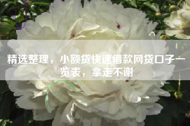 精选整理，小额贷快速借款网贷口子一览表，拿走不谢