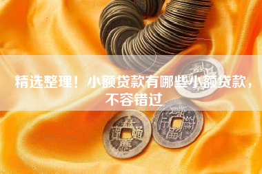 精选整理！小额贷款有哪些小额贷款，不容错过