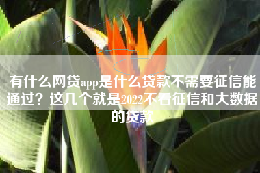 有什么网贷app是什么贷款不需要征信能通过？这几个就是2022不看征信和大数据的贷款