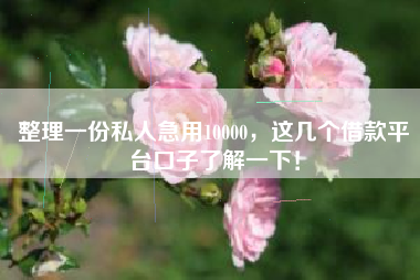 整理一份私人急用10000，这几个借款平台口子了解一下！