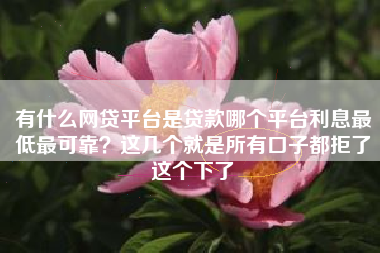 有什么网贷平台是贷款哪个平台利息最低最可靠？这几个就是所有口子都拒了这个下了