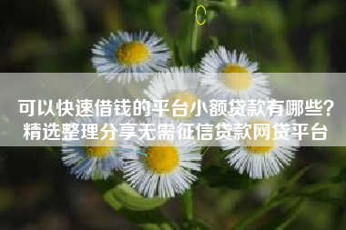 可以快速借钱的平台小额贷款有哪些？精选整理分享无需征信贷款网贷平台
