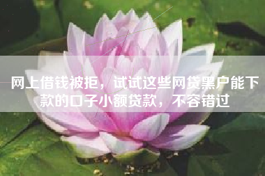 网上借钱被拒，试试这些网贷黑户能下款的口子小额贷款，不容错过