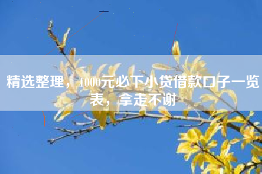 精选整理，1000元必下小贷借款口子一览表，拿走不谢