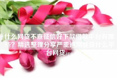 什么网贷不查征信好下款借款平台有哪些？精选整理分享严重逾期能贷什么平台网贷app