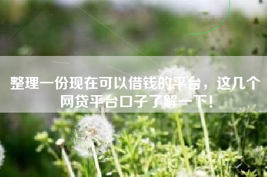 整理一份现在可以借钱的平台，这几个网贷平台口子了解一下！