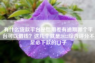 有什么贷款平台是信用差有逾期哪个平台可以借钱？这几个就是2022综合评分不足必下款的口子