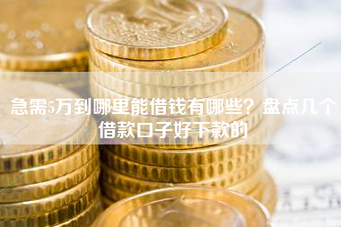 急需5万到哪里能借钱有哪些？盘点几个借款口子好下款的