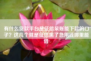 有什么贷款平台是征信呆账能下款的口子？这几个就是征信黑了急用钱哪里能借