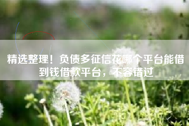 精选整理！负债多征信花哪个平台能借到钱借款平台，不容错过