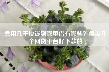 急用几千块钱到哪里借有哪些?盘点几个网贷平台好下款的 急用几千块钱到哪里借有哪些?盘点几个网贷平台好下款的