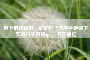 网上借钱被拒，试试这些网黑全拒能下款的口子网贷app，不容错过