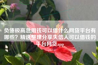 负债极高急用钱可以借什么网贷平台有哪些？精选整理分享失信人可以借钱的平台网贷app