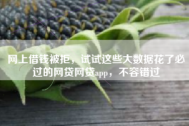 网上借钱被拒，试试这些大数据花了必过的网贷网贷app，不容错过