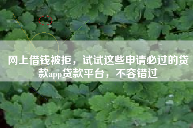 网上借钱被拒，试试这些申请必过的贷款app贷款平台，不容错过