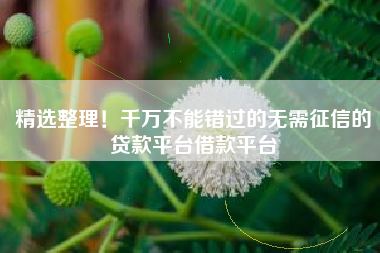 精选整理！千万不能错过的无需征信的贷款平台借款平台