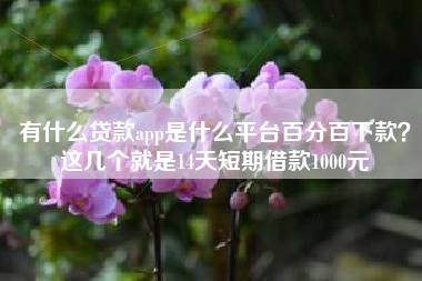 有什么贷款app是什么平台百分百下款？这几个就是14天短期借款1000元