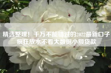 精选整理!千万不能错过的2022最新口子疯狂放水不看大数据小额贷款 精选整理!千万不能错过的2022最新口子疯狂放水不看大数据小额贷款