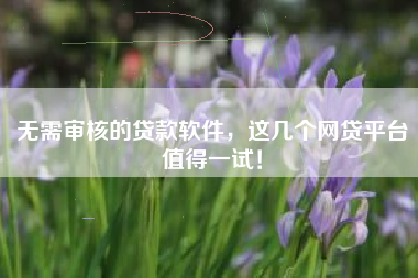 无需审核的贷款软件,这几个网贷平台值得一试! 无需审核的贷款软件,这几个网贷平台值得一试!