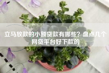 立马放款的小额贷款有哪些？盘点几个网贷平台好下款的