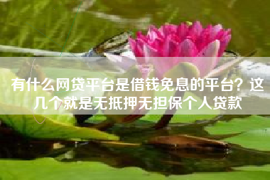 有什么网贷平台是借钱免息的平台?这几个就是无抵押无担保个人贷款 有什么网贷平台是借钱免息的平台?这几个就是无抵押无担保个人贷款