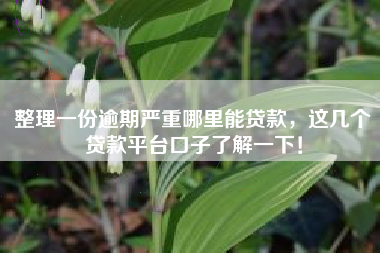 整理一份逾期严重哪里能贷款，这几个贷款平台口子了解一下！