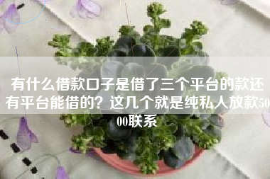 有什么借款口子是借了三个平台的款还有平台能借的？这几个就是纯私人放款5000联系