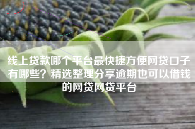 线上贷款哪个平台最快捷方便网贷口子有哪些?精选整理分享逾期也可以借钱的网贷网贷平台 线上贷款哪个平台最快捷方便网贷口子有哪些?精选整理分享逾期也可以借钱的网贷网贷平台