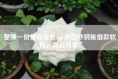 整理一份借钱应急app微信秒到账借款软件,简云分享! 整理一份借钱应急app微信秒到账借款软件,简云分享!