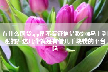 有什么网贷app是不看征信借款5000马上到账的?这几个就是有借几千块钱的平台吗 有什么网贷app是不看征信借款5000马上到账的?这几个就是有借几千块钱的平台吗