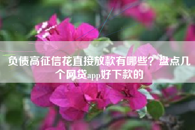 负债高征信花直接放款有哪些？盘点几个网贷app好下款的