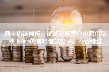 网上借钱被拒,试试这些黑户小额借贷秒下1000的有吗借款口子,不容错过 网上借钱被拒,试试这些黑户小额借贷秒下1000的有吗借款口子,不容错过