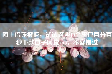 网上借钱被拒，试试这些10个黑户百分百秒下款口子网贷app，不容错过