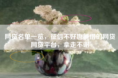 网贷名单一览，征信不好也能借的网贷网贷平台，拿走不谢