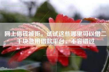 网上借钱被拒,试试这些哪里可以借二千块急用借款平台,不容错过 网上借钱被拒,试试这些哪里可以借二千块急用借款平台,不容错过