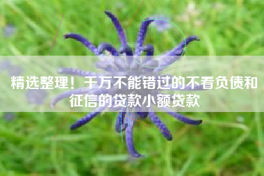 精选整理!千万不能错过的不看负债和征信的贷款小额贷款 精选整理!千万不能错过的不看负债和征信的贷款小额贷款
