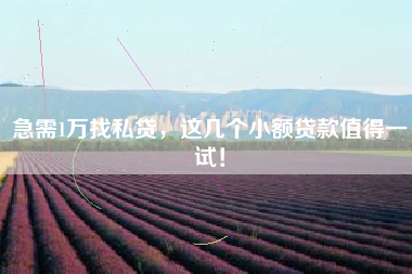 急需1万找私贷,这几个小额贷款值得一试! 急需1万找私贷,这几个小额贷款值得一试!