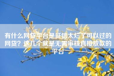 有什么网贷平台是征信太烂了可以过的网贷?这几个就是无需审核直接放款的平台 有什么网贷平台是征信太烂了可以过的网贷?这几个就是无需审核直接放款的平台