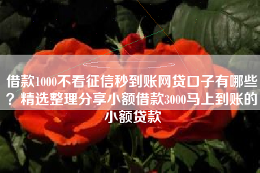 借款1000不看征信秒到账网贷口子有哪些?精选整理分享小额借款3000马上到账的小额贷款 借款1000不看征信秒到账网贷口子有哪些?精选整理分享小额借款3000马上到账的小额贷款