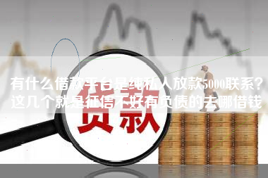 有什么借款平台是纯私人放款5000联系？这几个就是征信不好有负债的去哪借钱