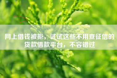 网上借钱被拒，试试这些不用查征信的贷款借款平台，不容错过