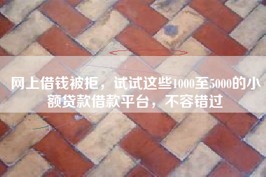 网上借钱被拒,试试这些1000至5000的小额贷款借款平台,不容错过 网上借钱被拒,试试这些1000至5000的小额贷款借款平台,不容错过