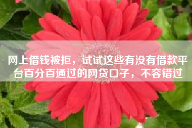 网上借钱被拒，试试这些有没有借款平台百分百通过的网贷口子，不容错过
