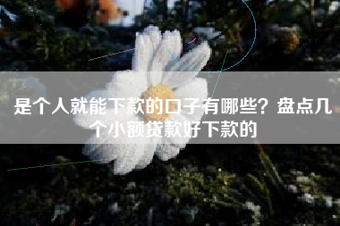 是个人就能下款的口子有哪些？盘点几个小额贷款好下款的